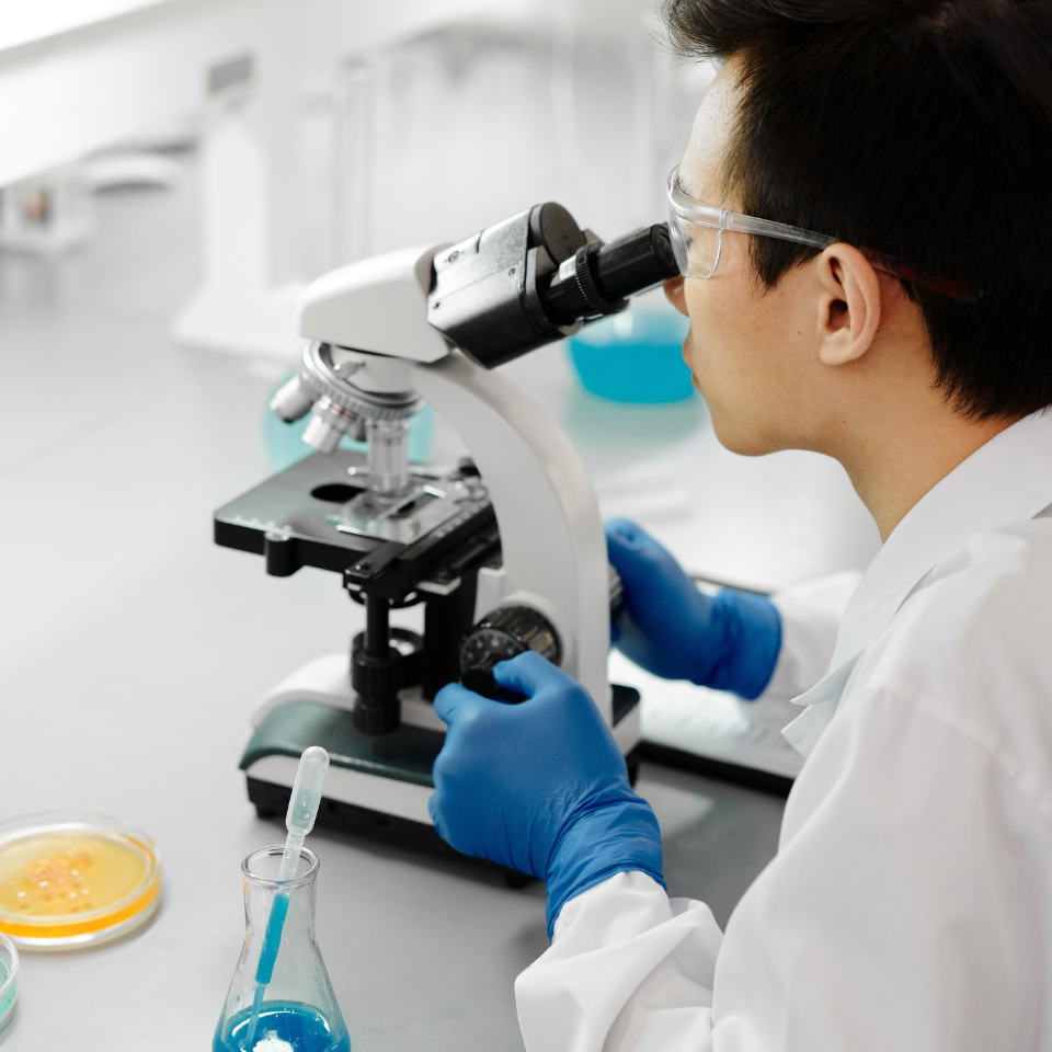 Untitled design - 2022-07-18T184145.177