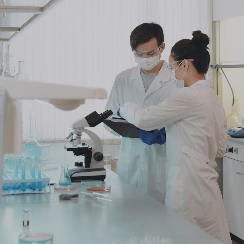 Untitled design - 2022-07-18T184225.208